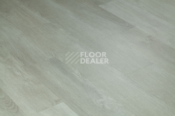Tarkett Funky House CRUZE фото 5 | FLOORDEALER